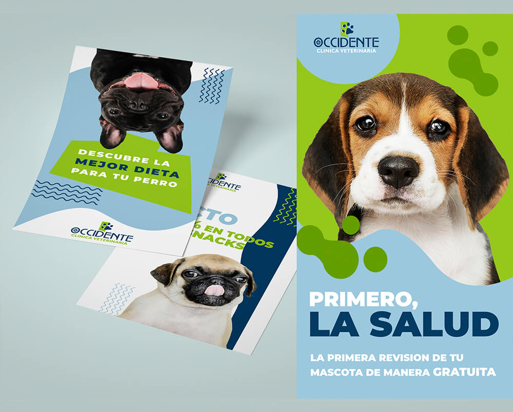 Veterinaria Marketing Clientes asturias